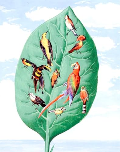 DTAUPREB DIY Ölgemälde für Erwachsene und Kinder Blätter und Vögel Malen nach Zahlen Zeichnung auf Leinwand Kunstdekor von DTAUPREB