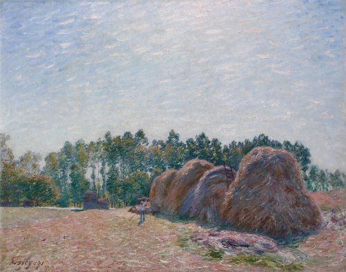 DTAUPREB Malen nach Zahlen Set für Anfänger Heuhaufen Alfred Sisley DIY Ölgemälde auf Leinwand mit Pinseln Acrylpigment DTAUPREB Malen nach Zahlen Set für Anfänger Heuhaufen Alfred Sisley DIY Ölgemälde auf Leinwand mit Pinseln Acrylpigment von DTAUPREB