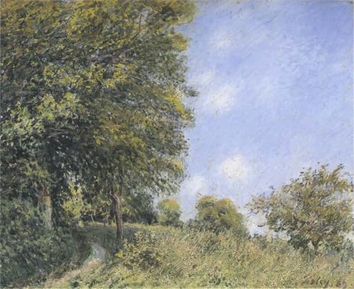 DTAUPREB Malen nach Zahlen Set für Anfänger Wald Alfred Sisley DIY Ölgemälde auf Leinwand mit Pinseln Acrylpigment DTAUPREB Malen nach Zahlen Set für Anfänger Wald Alfred Sisley DIY Ölgemälde auf Leinwand mit Pinseln Acrylpigment von DTAUPREB