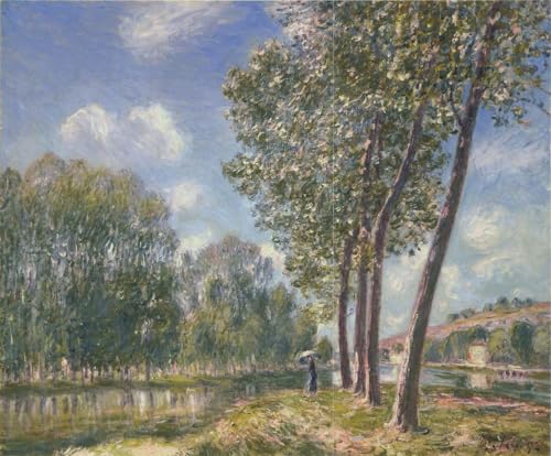 DTAUPREB Malen nach Zahlen Sets für Anfänger Alfred Sisley Frühlingssonne DIY Ölgemälde nach Zahlen Sets auf Leinwand DTAUPREB Malen nach Zahlen Sets für Anfänger Alfred Sisley Frühlingssonne DIY Ölgemälde nach Zahlen Sets auf Leinwand von DTAUPREB
