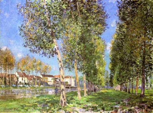 DTAUPREB Malen nach Zahlen Sets für Anfänger Alfred Sisley Pappelallee DIY Ölgemälde nach Zahlen Sets auf Leinwand DTAUPREB Malen nach Zahlen Sets für Anfänger Alfred Sisley Pappelallee DIY Ölgemälde nach Zahlen Sets auf Leinwand von DTAUPREB