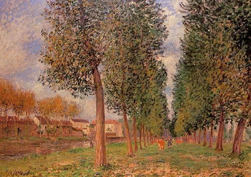 DTAUPREB Malen nach Zahlen Sets für Erwachsene Alfred Sisley Poplar Avenue DIY Ölgemälde auf Leinwand mit Pinseln Acryl DTAUPREB Malen nach Zahlen Sets für Erwachsene Alfred Sisley Poplar Avenue DIY Ölgemälde auf Leinwand mit Pinseln Acryl von DTAUPREB