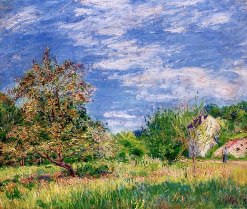 DTAUPREB Malen nach Zahlen für Erwachsene Alfred Sisley Obstgarten im Frühling DIY Ölgemälde Kits Zeichnen auf Leinwand Kunstdekor Geschenke DTAUPREB Malen nach Zahlen für Erwachsene Alfred Sisley Obstgarten im Frühling DIY Ölgemälde Kits Zeichnen auf Leinwand Kunstdekor Geschenke von DTAUPREB