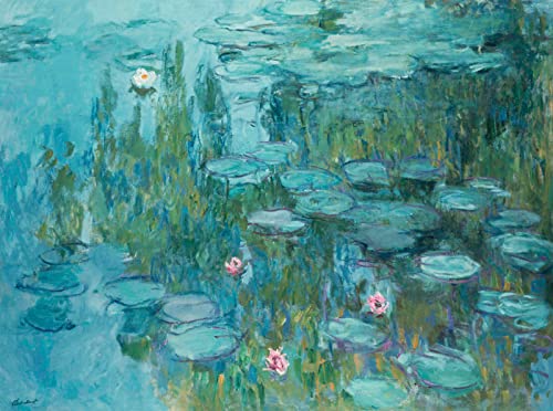 DTAUPREB Malen nach Zahlen für Erwachsene DIY Ölgemälde Kits Seerosen Claude Monet Malen nach Zahlen Zeichnen auf Leinwand Art Decor Geschenke von DTAUPREB