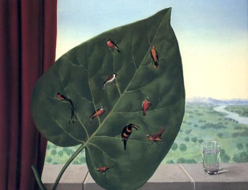 DTAUPREB Malen nach Zahlen für Erwachsene Innerer Blick DIY Ölgemälde Kits Zeichnung auf Leinwand Art Decor Geschenke von DTAUPREB