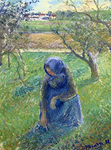 DTAUPREB Malen nach Zahlen für Erwachsene Kräuter sammeln DIY Ölgemälde Camille Pissarro Acryl Malen nach Zahlen Kits für Kinder Erwachsene Anfänger DTAUPREB Malen nach Zahlen für Erwachsene Kräuter sammeln DIY Ölgemälde Camille Pissarro Acryl Malen nach Zahlen Kits für Kinder Erwachsene Anfänger von DTAUPREB