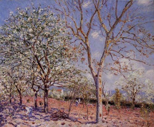 DTAUPREB Malen nach Zahlen für Erwachsene und Kinder Pflaumen und Walnussbäume Alfred Sisley DIY Ölgemälde Set Leinwand Geschenk DTAUPREB Malen nach Zahlen für Erwachsene und Kinder Pflaumen und Walnussbäume Alfred Sisley DIY Ölgemälde Set Leinwand Geschenk von DTAUPREB