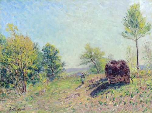 DTAUPREB Malen nach Zahlen für Kinder und Erwachsene Anfänger Waldrand Alfred Sisley DIY Ölgemälde Set Zeichnen auf Leinwand Kunstdekor DTAUPREB Malen nach Zahlen für Kinder und Erwachsene Anfänger Waldrand Alfred Sisley DIY Ölgemälde Set Zeichnen auf Leinwand Kunstdekor von DTAUPREB