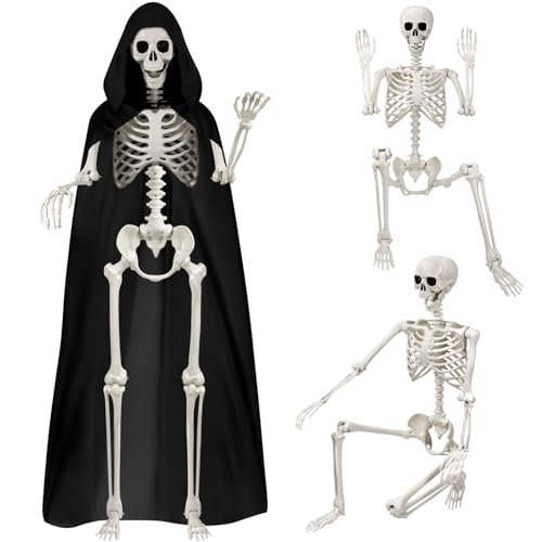 DTYDECLE 1 Stück 165cm Halloween Bewegliches Skelett, Ganzkörper Lebensgroßes Skelett mit Mantel Realistische Menschliche Skelette mit beweglichen Gelenken für Halloween Outdoor Party Dekoration DTYDECLE 1 Stück 165cm Halloween Bewegliches Skelett, Ganzkörper Lebensgroßes Skelett mit Mantel Realistische Menschliche Skelette mit beweglichen Gelenken für Halloween Outdoor Party Dekoration von DTYDECLE