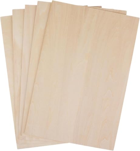 Lindenholzplatten, unlackierte Holzplatten, Bastelholzbretter, zum Basteln, Modellbau (10 x 10 x 0,2 cm), 10 Stück von DUANxiaoyanK