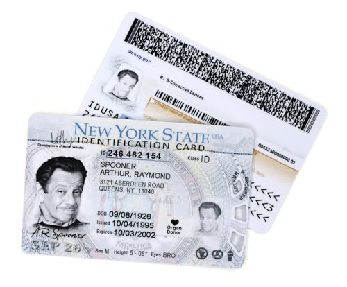 DUB SPENCER 1x Fake ID Arthur Spooner lustiger Scherzartikel Ausweis unechte Driver License für Geburtstag als witziges Gag Geschenk (1er Pack) von DUB SPENCER