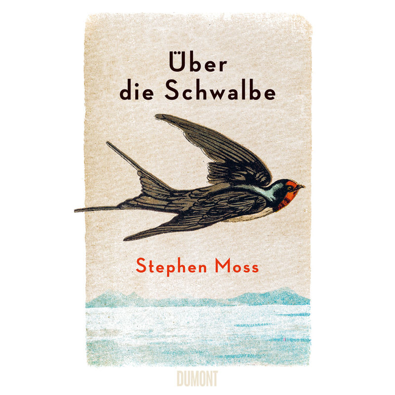 Über Die Schwalbe - Stephen Moss, Gebunden von DuMont Buchverlag Gruppe