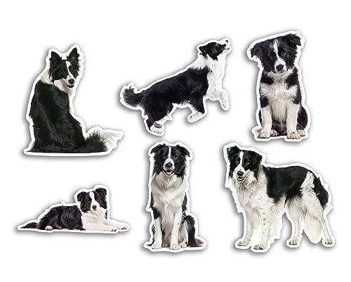 6 x 10 cm Border Collie Vinyl-Aufkleber – Hunde Welpen Tier lustiges Muster Natur Haustiere Gesicht wilde Mädchen Jungen Reise Scrapbooking #80810 6 x 10 cm Border Collie Vinyl-Aufkleber – Hunde Welpen Tier lustiges Muster Natur Haustiere Gesicht wilde Mädchen Jungen Reise Scrapbooking #80810 von DV DESIGN