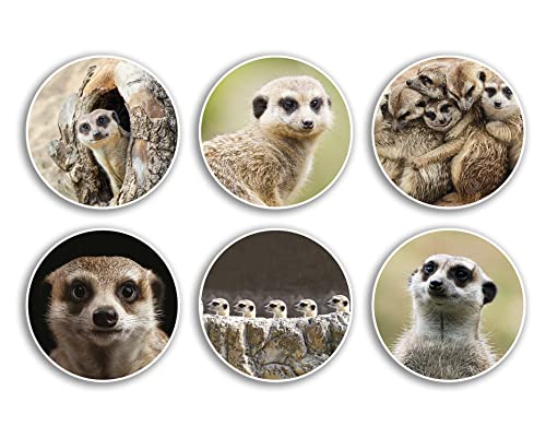 6 x 10 cm Erdmännchen Vinyl-Aufkleber – Tier bezaubernder Safari Zoo Kinder Scrapbooking Geschenk #79013 6 x 10 cm Erdmännchen Vinyl-Aufkleber – Tier bezaubernder Safari Zoo Kinder Scrapbooking Geschenk #79013 von DV DESIGN
