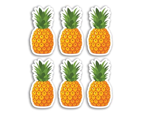 6 x 5 cm Ananas-Vinyl-Aufkleber – Tropische Früchte Lebensmittel Reisegepäck Männer Frauen Jungen Mädchen Design Kleiner Aufkleber Laptop Scrapbooking #29840 von DV DESIGN