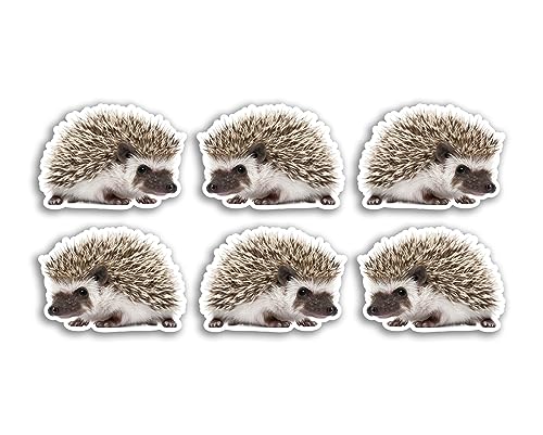 6 x 5 cm Igel-Vinyl-Aufkleber – Tierwelt, Natur, Tier, Cartoon, Gepäck, Männer, Frauen, Jungen, Mädchen, Design, kleiner Aufkleber, Laptop, Scrapbooking, #34904 6 x 5 cm Igel-Vinyl-Aufkleber – Tierwelt, Natur, Tier, Cartoon, Gepäck, Männer, Frauen, Jungen, Mädchen, Design, kleiner Aufkleber, Laptop, Scrapbooking, #34904 von DV DESIGN