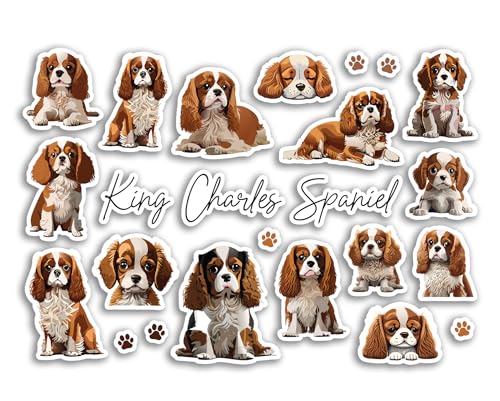 A5-Aufkleberbogen, Motiv: King Charles Spaniel, Vinyl-Aufkleber, Motiv: Cavalier Hund, Welpen, Haustierrasse, Tiere, Scrapbooking, Etikett, Mädchen und Jungen, ästhetisch, #81515 A5-Aufkleberbogen, Motiv: King Charles Spaniel, Vinyl-Aufkleber, Motiv: Cavalier Hund, Welpen, Haustierrasse, Tiere, Scrapbooking, Etikett, Mädchen und Jungen, ästhetisch, #81515 von DV DESIGN