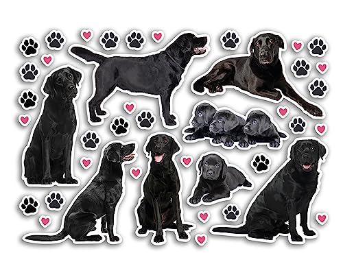 A5-Aufkleberbogen, schwarzer Labrador, Vinyl-Aufkleber – Hunde, Welpen, Tiere, Scrapbooking, Reisedekoration, Etikett, Freund, Mädchen, Jungen, ästhetisch, #80802 A5-Aufkleberbogen, schwarzer Labrador, Vinyl-Aufkleber – Hunde, Welpen, Tiere, Scrapbooking, Reisedekoration, Etikett, Freund, Mädchen, Jungen, ästhetisch, #80802 von DV DESIGN