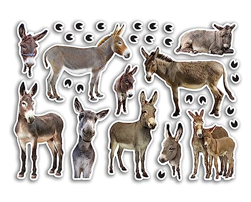 A5 Aufkleberbogen Esel Vinyl Aufkleber - Lustige Tiere Reitsport Scrapbooking Reise Dekoration Label Freund Mädchen Jungen Ästhetisch #80814 von DV DESIGN