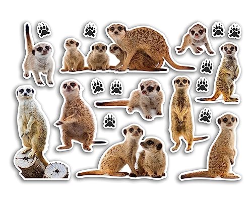 A5 Stickerbogen Erdmännchen Vinyl Aufkleber – Mungo Tierwelt Tiere Scrapbooking Reise Dekoration Label Freund Mädchen Jungen Ästhetisch #80791 von DV DESIGN