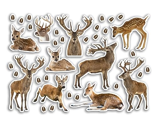 Aufkleber aus Vinyl, Hirsch, A5 – Woodland Fawn Wildtiere Scrapbooking Dekoration Reise Aufkleber Freund Mädchen Jungen Ästhetik #80819 Aufkleber aus Vinyl, Hirsch, A5 – Woodland Fawn Wildtiere Scrapbooking Dekoration Reise Aufkleber Freund Mädchen Jungen Ästhetik #80819 von DV DESIGN