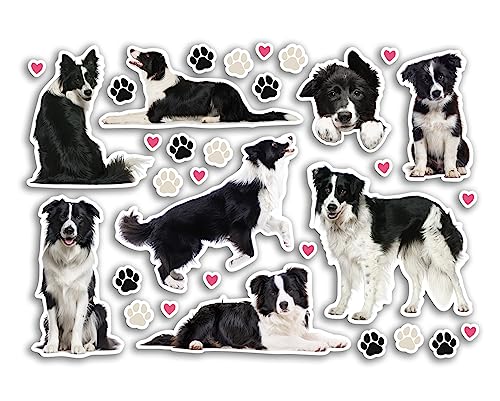 DV DESIGN A5 Aufkleber Bogen Border Collie Vinyl Aufkleber – Hunde Welpen Tiere Scrapbooking Reise Dekoration Label Freund Mädchen Jungen Ästhetisch #80810 DV DESIGN A5 Aufkleber Bogen Border Collie Vinyl Aufkleber – Hunde Welpen Tiere Scrapbooking Reise Dekoration Label Freund Mädchen Jungen Ästhetisch #80810 von DV DESIGN