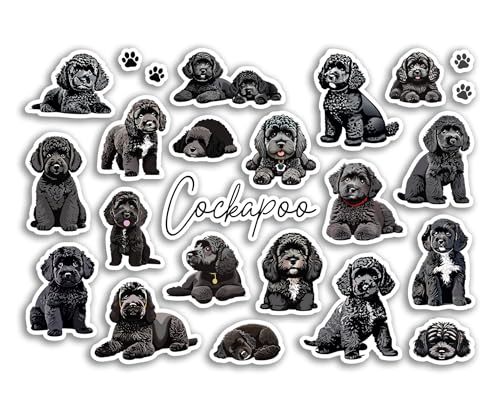 DV DESIGN A5-Aufkleberbogen, schwarzer Cockapoo-Vinyl-Aufkleber, Motiv: Hunde, Welpen, Cavapoo, Haustiere, Rasse, Tiere, Scrapbooking, Etikett, Freund, Mädchen, Jungen, ästhetisch, #81512, 81512_A5 DV DESIGN A5-Aufkleberbogen, schwarzer Cockapoo-Vinyl-Aufkleber, Motiv: Hunde, Welpen, Cavapoo, Haustiere, Rasse, Tiere, Scrapbooking, Etikett, Freund, Mädchen, Jungen, ästhetisch, #81512, 81512_A5 von DV DESIGN