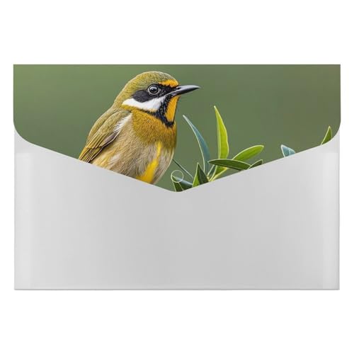 Aktenordner für den Außenbereich, olivgrün, Blumen-Vögel, Organizer, langlebig, mit 6 Fächern, Ordner für Aktenschrank, Büro, Lebenslauf-Portfolio von DWTJKMS