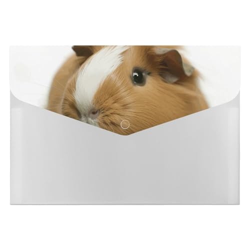 Aktenordner mit Meerschweinchen-Motiv, langlebig, mit 6 Fächern, Ordner für Aktenschrank, Büro, Lebenslauf-Portfolio Aktenordner mit Meerschweinchen-Motiv, langlebig, mit 6 Fächern, Ordner für Aktenschrank, Büro, Lebenslauf-Portfolio von DWTJKMS