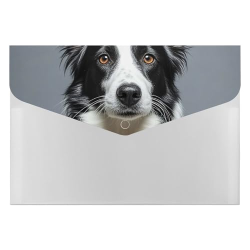 Border Collie Aktenordner, Organizer, langlebig, mit 6 Fächern, Ordner für Aktenschrank, Büro, Lebenslauf-Portfolio von DWTJKMS