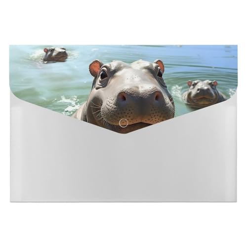Cute Hippos Aktenordner, Organizer, langlebig, mit 6 Fächern, Ordner für Aktenschrank, Büro, Lebenslauf-Portfolio Cute Hippos Aktenordner, Organizer, langlebig, mit 6 Fächern, Ordner für Aktenschrank, Büro, Lebenslauf-Portfolio von DWTJKMS