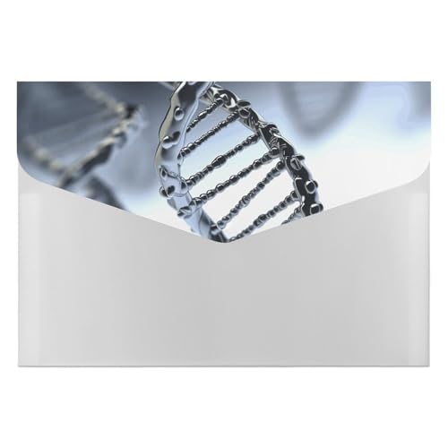 DNA-Ketten-Foto-Aktenordner, Organizer, langlebig, mit 6 Fächern, Ordner für Aktenschrank, Büro, Lebenslauf-Portfolio DNA-Ketten-Foto-Aktenordner, Organizer, langlebig, mit 6 Fächern, Ordner für Aktenschrank, Büro, Lebenslauf-Portfolio von DWTJKMS
