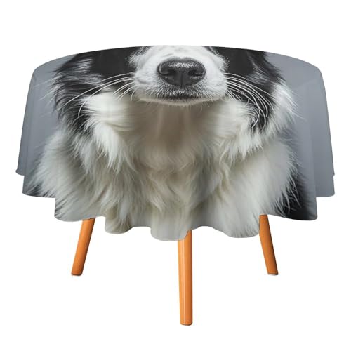 DWTJKMS Border Collie Runde Tischdecke, Picknick, Dinner-Party, Dekoration, Tischdecken, Sommer, Herbst, Outdoor, Kreisabdeckung, 127 x 127 cm, für Hochzeit, Geburtstag, Terrasse, Party DWTJKMS Border Collie Runde Tischdecke, Picknick, Dinner-Party, Dekoration, Tischdecken, Sommer, Herbst, Outdoor, Kreisabdeckung, 127 x 127 cm, für Hochzeit, Geburtstag, Terrasse, Party von DWTJKMS