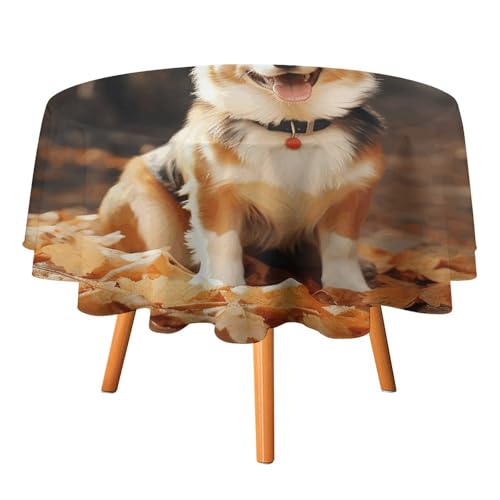 DWTJKMS Corgi Tischdecke, rund, für Picknick, Dinner-Party, Dekoration, für Sommer, Herbst, Outdoor, runde Abdeckung, 91,4 x 91,4 cm, für Hochzeit, Geburtstag, Terrasse, Party DWTJKMS Corgi Tischdecke, rund, für Picknick, Dinner-Party, Dekoration, für Sommer, Herbst, Outdoor, runde Abdeckung, 91,4 x 91,4 cm, für Hochzeit, Geburtstag, Terrasse, Party von DWTJKMS