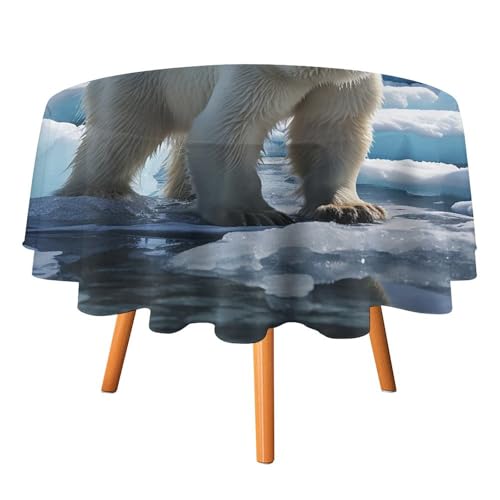 DWTJKMS Eisbär-Tischdecke, rund, für Picknick, Dinner-Party, Dekoration, Sommer, Herbst, Outdoor, Kreisabdeckung, 177,8 x 177,8 cm, für Hochzeit, Geburtstag, Terrasse, Party DWTJKMS Eisbär-Tischdecke, rund, für Picknick, Dinner-Party, Dekoration, Sommer, Herbst, Outdoor, Kreisabdeckung, 177,8 x 177,8 cm, für Hochzeit, Geburtstag, Terrasse, Party von DWTJKMS