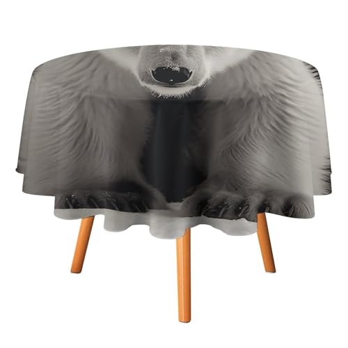 DWTJKMS Eisbär-Tischdecke, rund, für Picknick, Dinner-Party, Dekoration, Sommer, Herbst, Outdoor, Kreisabdeckung, 91,4 x 91,4 cm, für Hochzeit, Geburtstag, Terrasse, Party DWTJKMS Eisbär-Tischdecke, rund, für Picknick, Dinner-Party, Dekoration, Sommer, Herbst, Outdoor, Kreisabdeckung, 91,4 x 91,4 cm, für Hochzeit, Geburtstag, Terrasse, Party von DWTJKMS