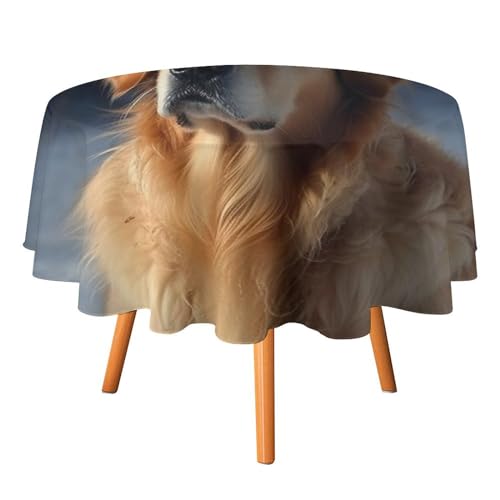 DWTJKMS Golden Retriever Runde Tischdecke, Picknick, Dinner-Party, Dekoration, Tischdecken, Sommer, Herbst, Outdoor, Kreisabdeckung, 177,8 x 177,8 cm, für Hochzeit, Geburtstag, Terrasse, Party DWTJKMS Golden Retriever Runde Tischdecke, Picknick, Dinner-Party, Dekoration, Tischdecken, Sommer, Herbst, Outdoor, Kreisabdeckung, 177,8 x 177,8 cm, für Hochzeit, Geburtstag, Terrasse, Party von DWTJKMS