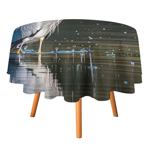 DWTJKMS Graureiher-Druck im Wasser, runde Tischdecke, Picknick, Abendessen, Party, Dekoration, Tischdecken, Sommer, Herbst, Outdoor, Kreisabdeckung, 127 x 127 cm, für Hochzeit, Geburtstag, Terrasse DWTJKMS Graureiher-Druck im Wasser, runde Tischdecke, Picknick, Abendessen, Party, Dekoration, Tischdecken, Sommer, Herbst, Outdoor, Kreisabdeckung, 127 x 127 cm, für Hochzeit, Geburtstag, Terrasse von DWTJKMS