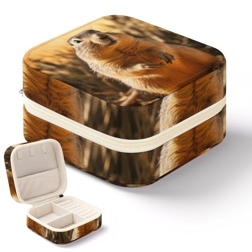 DWTJKMS Handgezeichnetes Murmeltier-Reise-Schmucketui, Mini-Schmuckhalter, Organizer, Box, multifunktionale Schmuckschatulle für Ringe, Ohrringe, Halsketten, Armreifen, Geschenke für Frauen von DWTJKMS