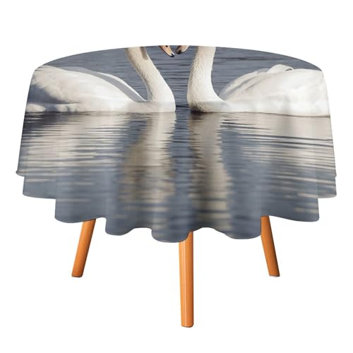 DWTJKMS Romantische weiße Tischdecke mit Schwan, rund, für Picknick, Dinner-Party, Dekoration, Sommer, Herbst, Outdoor, Kreisabdeckung, 127 x 127 cm, für Hochzeit, Geburtstag, Terrasse, Party DWTJKMS Romantische weiße Tischdecke mit Schwan, rund, für Picknick, Dinner-Party, Dekoration, Sommer, Herbst, Outdoor, Kreisabdeckung, 127 x 127 cm, für Hochzeit, Geburtstag, Terrasse, Party von DWTJKMS