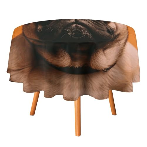 DWTJKMS Runde Mops-Tischdecke, Picknick, Dinner-Party, Dekoration, Tischdecken, Sommer, Herbst, Outdoor, Kreisabdeckung, 152,4 x 152,4 cm, für Hochzeit, Geburtstag, Terrasse, Party DWTJKMS Runde Mops-Tischdecke, Picknick, Dinner-Party, Dekoration, Tischdecken, Sommer, Herbst, Outdoor, Kreisabdeckung, 152,4 x 152,4 cm, für Hochzeit, Geburtstag, Terrasse, Party von DWTJKMS