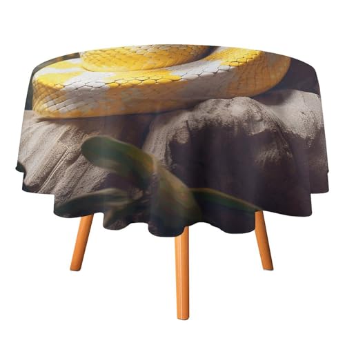 DWTJKMS Runde Python-Tischdecke, für Picknick, Dinner-Party, Dekoration, Sommer, Herbst, Outdoor, Kreis, 127 x 127 cm, für Hochzeit, Geburtstag, Terrasse, Party, Gelb und Weiß DWTJKMS Runde Python-Tischdecke, für Picknick, Dinner-Party, Dekoration, Sommer, Herbst, Outdoor, Kreis, 127 x 127 cm, für Hochzeit, Geburtstag, Terrasse, Party, Gelb und Weiß von DWTJKMS