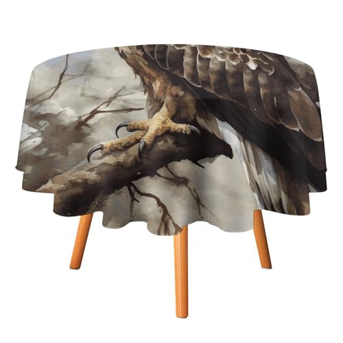 DWTJKMS Runde Tischdecke, Motiv: Aquarell von Hawk, für Picknick, Abendessen, Party, Dekoration, Sommer, Herbst, Outdoor, Kreis, 127 x 127 cm, für Hochzeit, Geburtstag, Terrasse, Party DWTJKMS Runde Tischdecke, Motiv: Aquarell von Hawk, für Picknick, Abendessen, Party, Dekoration, Sommer, Herbst, Outdoor, Kreis, 127 x 127 cm, für Hochzeit, Geburtstag, Terrasse, Party von DWTJKMS
