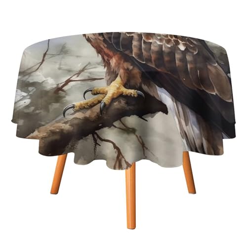 DWTJKMS Runde Tischdecke, Motiv: Hawk sitzend im Baum, für Picknick, Dinner-Party, Dekoration, Sommer, Herbst, Outdoor, Kreisabdeckung, 91,4 x 91,4 cm, für Hochzeit, Geburtstag, Terrasse, Party DWTJKMS Runde Tischdecke, Motiv: Hawk sitzend im Baum, für Picknick, Dinner-Party, Dekoration, Sommer, Herbst, Outdoor, Kreisabdeckung, 91,4 x 91,4 cm, für Hochzeit, Geburtstag, Terrasse, Party von DWTJKMS