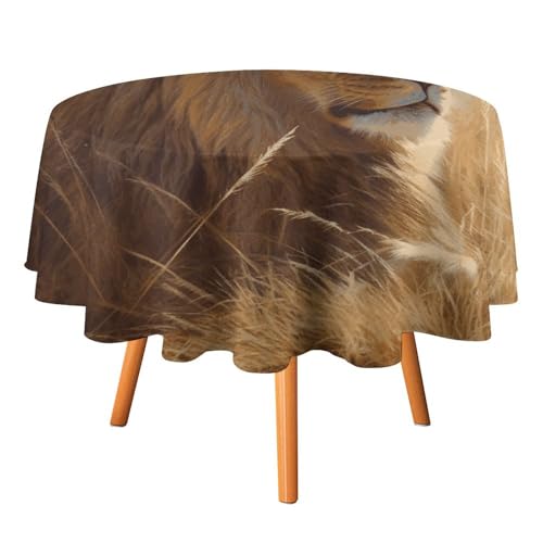 DWTJKMS Runde Tischdecke, Motiv: Prairie Lion, Picknick, Dinner-Party, Dekoration, Tischdecken, Sommer, Herbst, Outdoor, Kreisabdeckung, 91,4 x 91,4 cm, für Hochzeit, Geburtstag, Terrasse, Party DWTJKMS Runde Tischdecke, Motiv: Prairie Lion, Picknick, Dinner-Party, Dekoration, Tischdecken, Sommer, Herbst, Outdoor, Kreisabdeckung, 91,4 x 91,4 cm, für Hochzeit, Geburtstag, Terrasse, Party von DWTJKMS