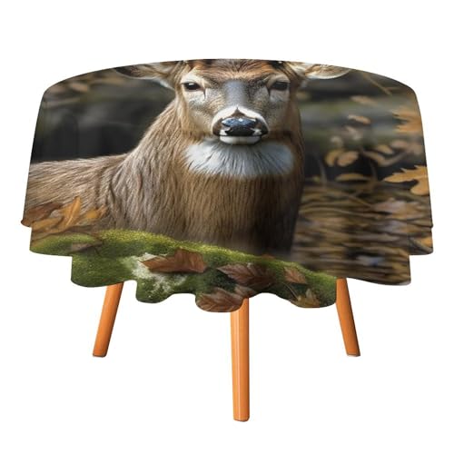 DWTJKMS Runde Tischdecke mit Camouflage-Hirsch-Design, für Picknick, Dinner-Party, Dekoration, Sommer, Herbst, Outdoor, Kreisabdeckung, 177,8 x 177,8 cm, für Hochzeit, Geburtstag, Terrasse, Party DWTJKMS Runde Tischdecke mit Camouflage-Hirsch-Design, für Picknick, Dinner-Party, Dekoration, Sommer, Herbst, Outdoor, Kreisabdeckung, 177,8 x 177,8 cm, für Hochzeit, Geburtstag, Terrasse, Party von DWTJKMS