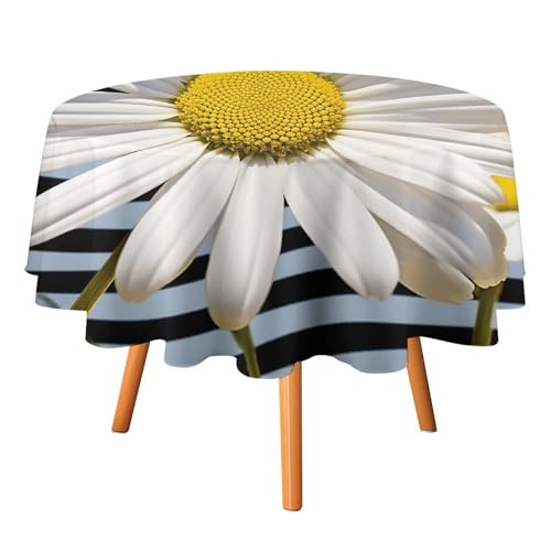 DWTJKMS Runde Tischdecke mit Gänseblümchen-Motiv, für Picknick, Dinner-Party, Dekoration, Sommer, Herbst, Outdoor, Kreis, Abdeckung, 127 x 127 cm, für Hochzeit, Geburtstag, Terrasse, Party DWTJKMS Runde Tischdecke mit Gänseblümchen-Motiv, für Picknick, Dinner-Party, Dekoration, Sommer, Herbst, Outdoor, Kreis, Abdeckung, 127 x 127 cm, für Hochzeit, Geburtstag, Terrasse, Party von DWTJKMS