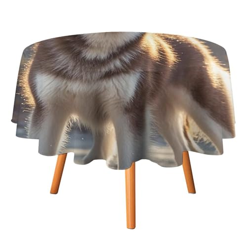 DWTJKMS Runde Tischdecke mit Husky-Hund, Picknick, Dinner-Party, Dekoration, Tischdecken, Sommer, Herbst, Outdoor, Kreisabdeckung, 127 x 127 cm, für Hochzeit, Geburtstag, Terrasse, Party DWTJKMS Runde Tischdecke mit Husky-Hund, Picknick, Dinner-Party, Dekoration, Tischdecken, Sommer, Herbst, Outdoor, Kreisabdeckung, 127 x 127 cm, für Hochzeit, Geburtstag, Terrasse, Party von DWTJKMS