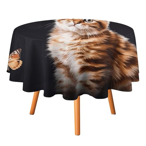 DWTJKMS Runde Tischdecke mit Katzen- und Schmetterlings-Motiv, für Picknick, Dinner-Party, Dekoration, Sommer, Herbst, Outdoor, Kreisabdeckung, 127 x 127 cm, für Hochzeit, Geburtstag, Terrasse, Party DWTJKMS Runde Tischdecke mit Katzen- und Schmetterlings-Motiv, für Picknick, Dinner-Party, Dekoration, Sommer, Herbst, Outdoor, Kreisabdeckung, 127 x 127 cm, für Hochzeit, Geburtstag, Terrasse, Party von DWTJKMS