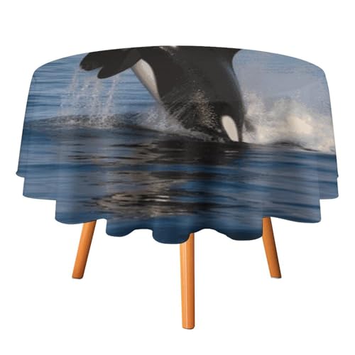 DWTJKMS Runde Tischdecke mit Killerwal, für Picknick, Dinner-Party, Dekoration, Sommer, Herbst, Outdoor, Kreisabdeckung, 177,8 x 177,8 cm, für Hochzeit, Geburtstag, Terrasse, Party DWTJKMS Runde Tischdecke mit Killerwal, für Picknick, Dinner-Party, Dekoration, Sommer, Herbst, Outdoor, Kreisabdeckung, 177,8 x 177,8 cm, für Hochzeit, Geburtstag, Terrasse, Party von DWTJKMS